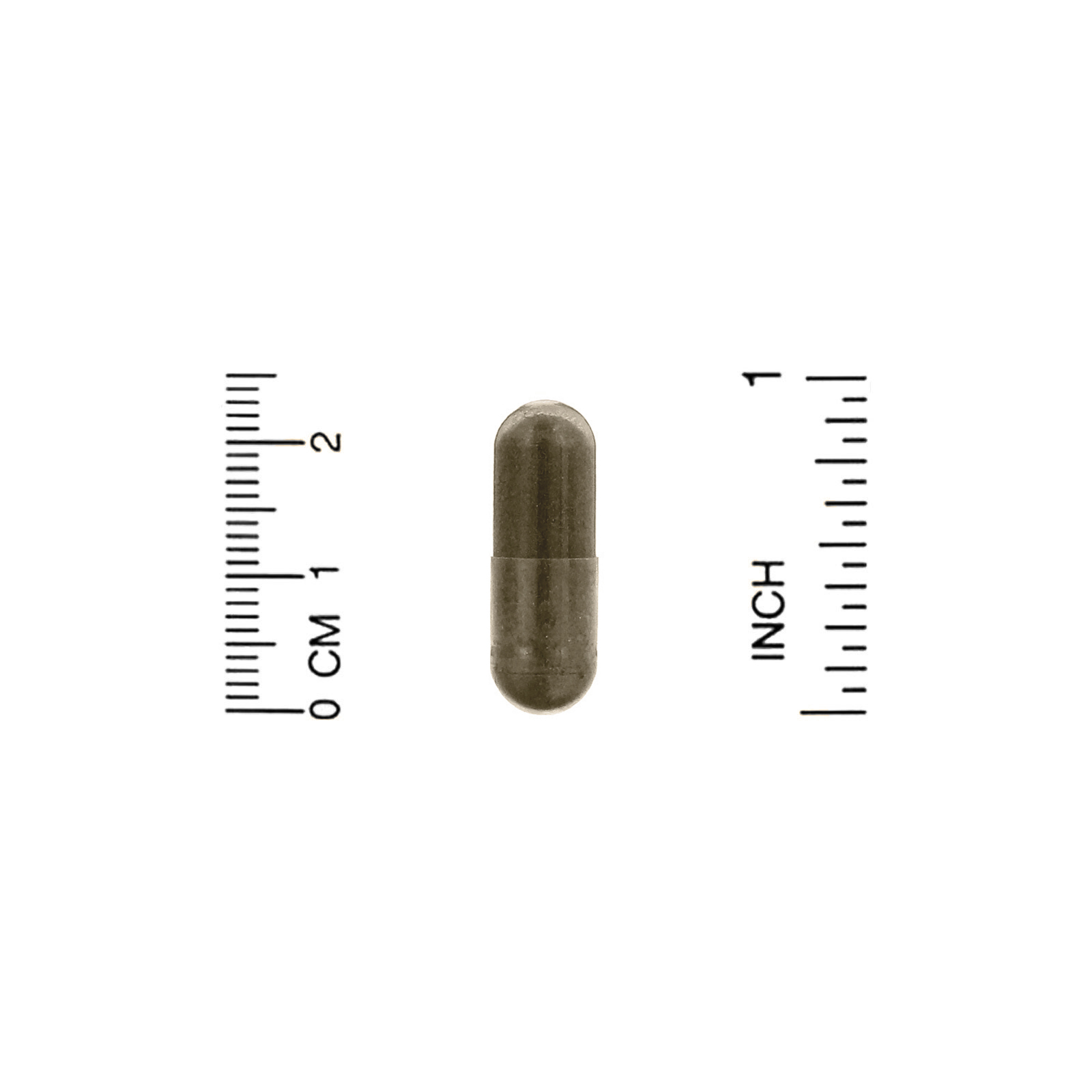 BioSchwartz, Fórmula Avançada Sambucus Elderberry, 60 Cápsulas Vegetais - Imagem 4