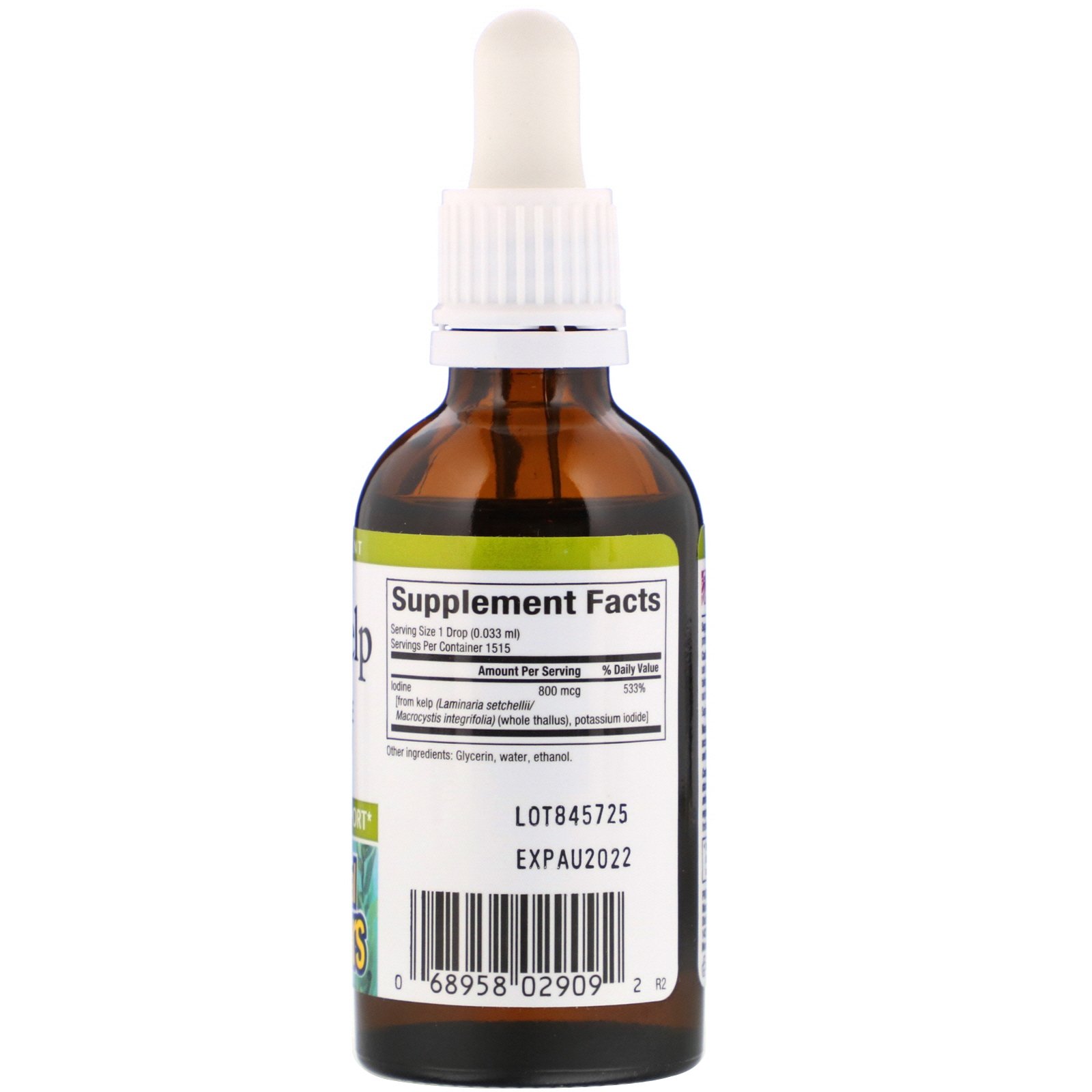 Natural Factors, Kelp Líquido, 800 mcg de Iodo, 50 ml (1,6 fl oz) - Imagem 2