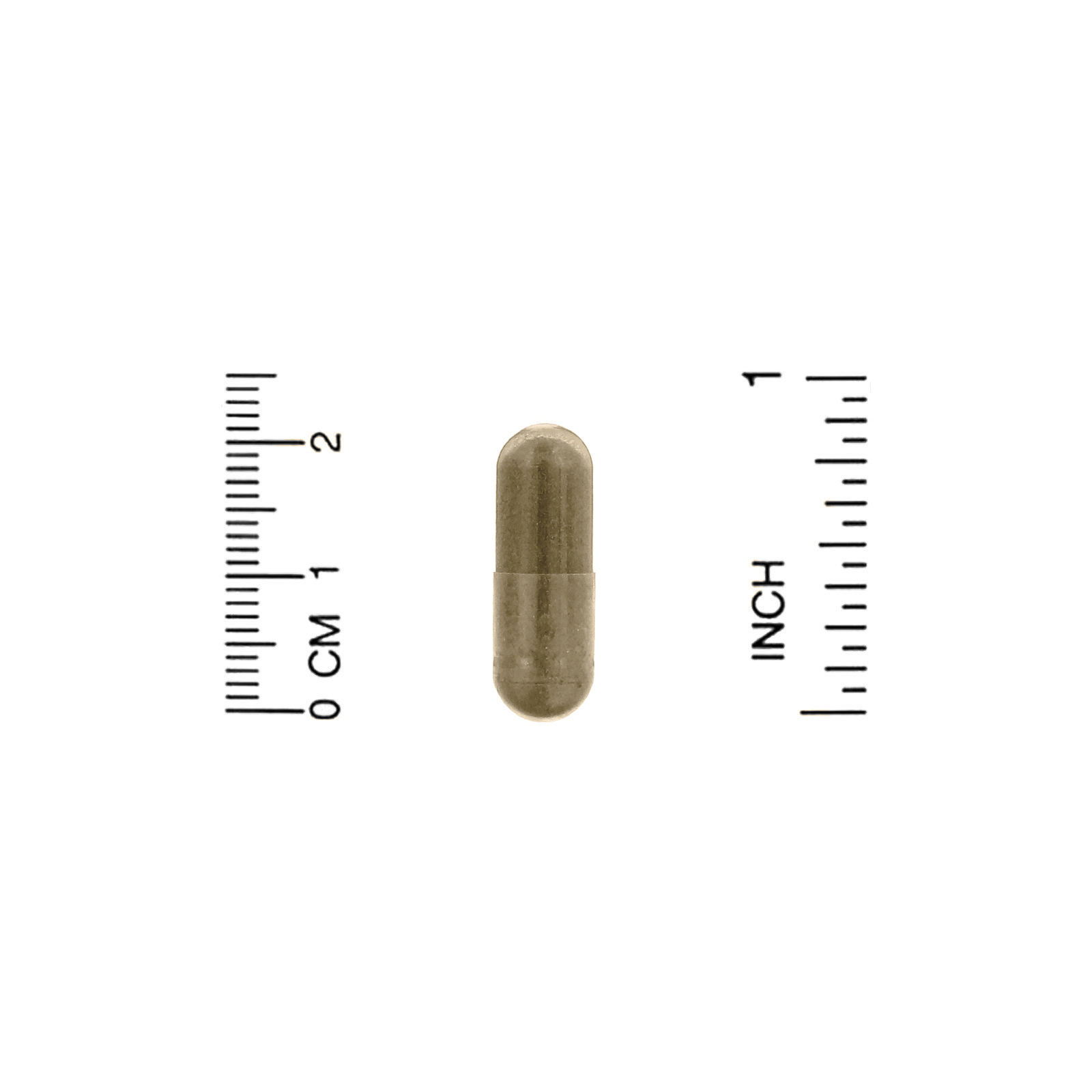 Organic India, Tulsi-Holy Basil, Positive Stress Response, 90 Vegetarian Caps - Imagem 3