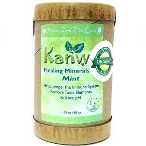 Zion Health Mineral Chá, hortelã - 24 Chá Bags