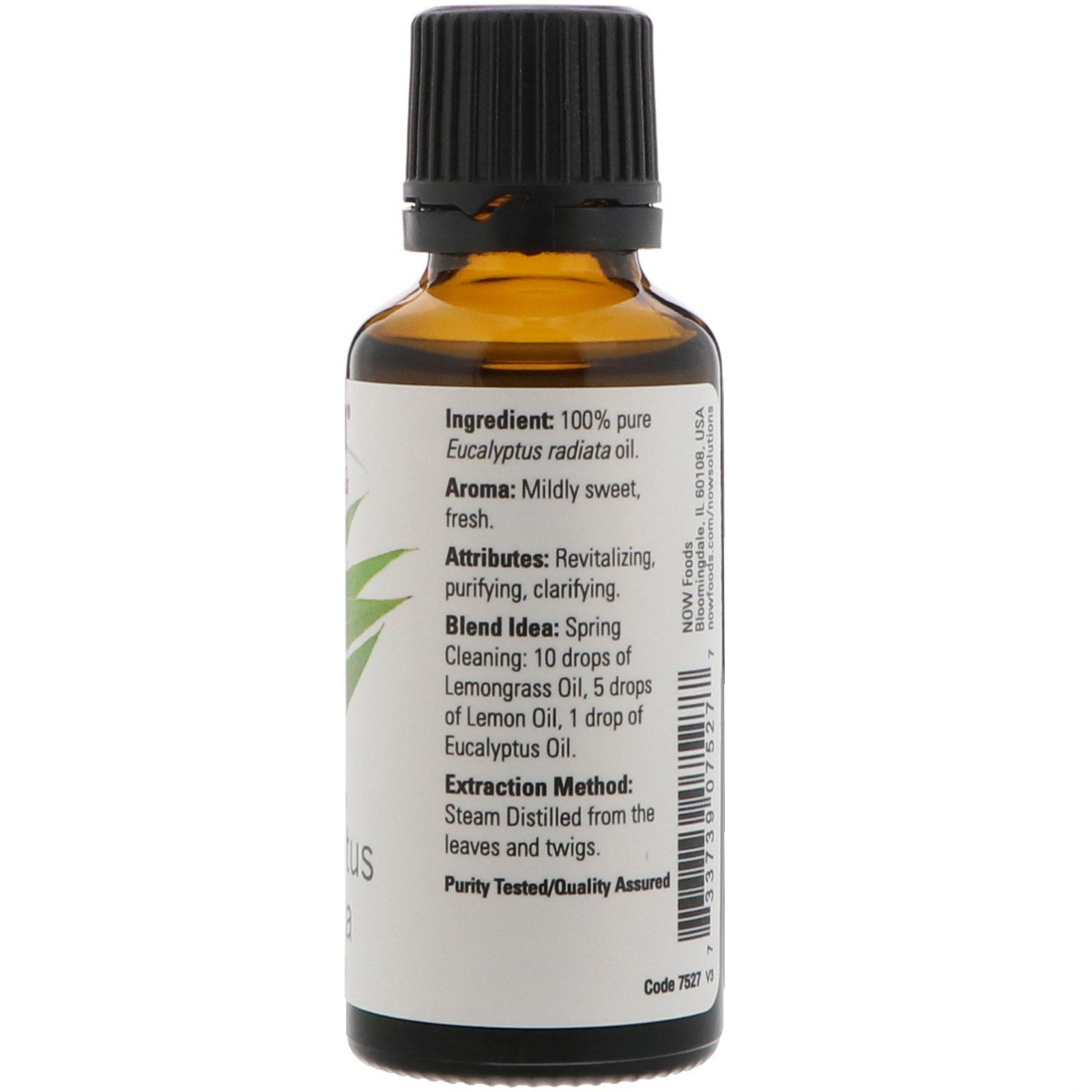 Now Foods, Óleos Essenciais, Eucalyptus sadiata, 1 fl oz. (30 ml) - Imagem 2