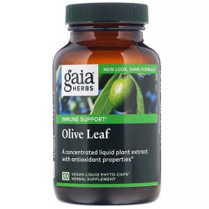 Gaia Herbs, Milk Thistle Seed, 120 Fitocápsulas Líquidas Veganas
