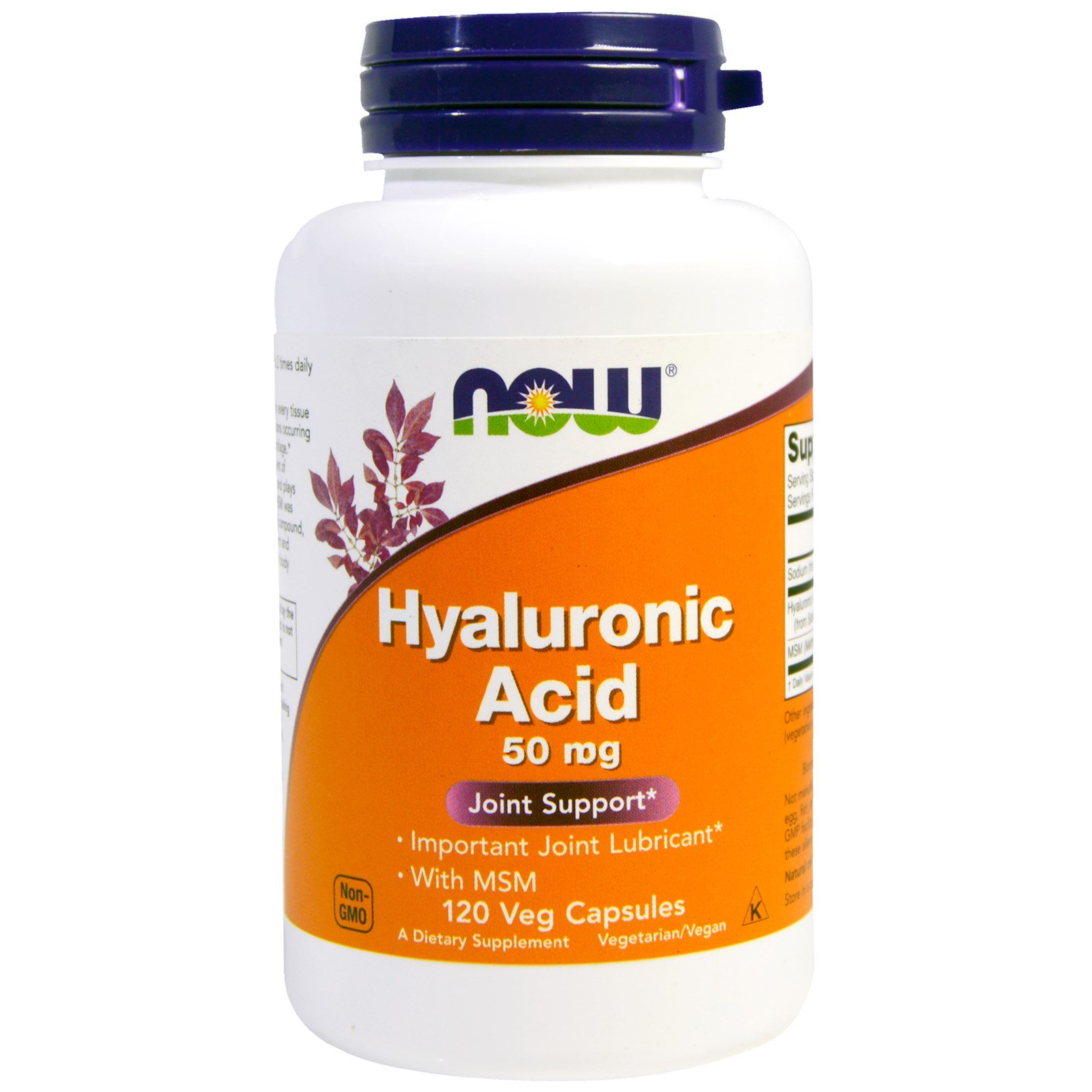 Now Foods, Ácido Hialurônico com MSM, 120 Cápsulas Vegetais