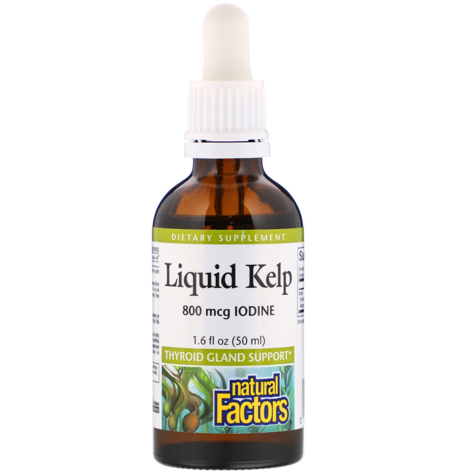 Natural Factors, Kelp Líquido, 800 mcg de Iodo, 50 ml (1,6 fl oz)