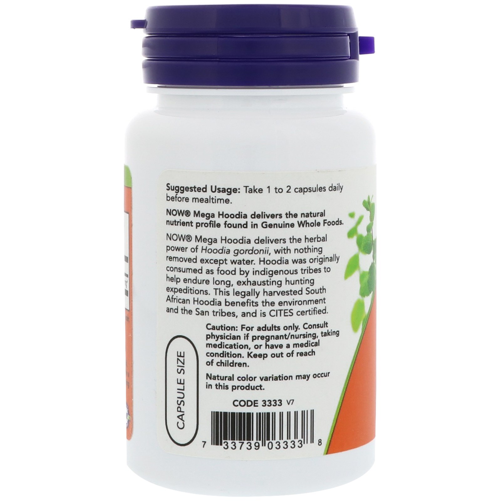 Now Foods, Mega Hoodia, 250 mg, 60 Cápsulas Vegetais - Imagem 3