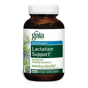 Gaia Herbs, Suporte à Lactação - 60 Phyto-Cápsulas Líquidas Vegetarianas