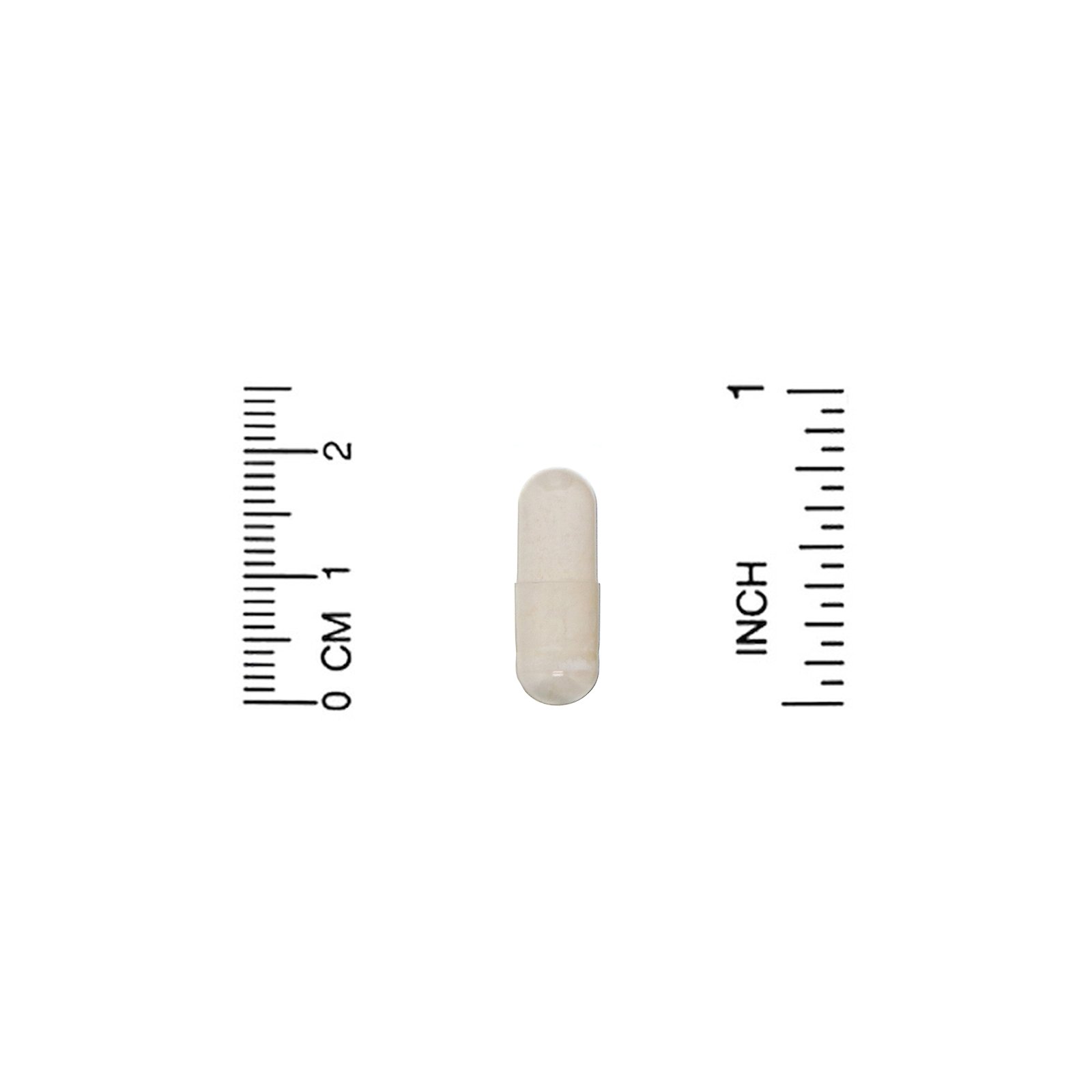 HealthyBiom, Probióticos para Adultos, 15 Bilhões de UFCs, Cápsulas Vegetais - Imagem 3