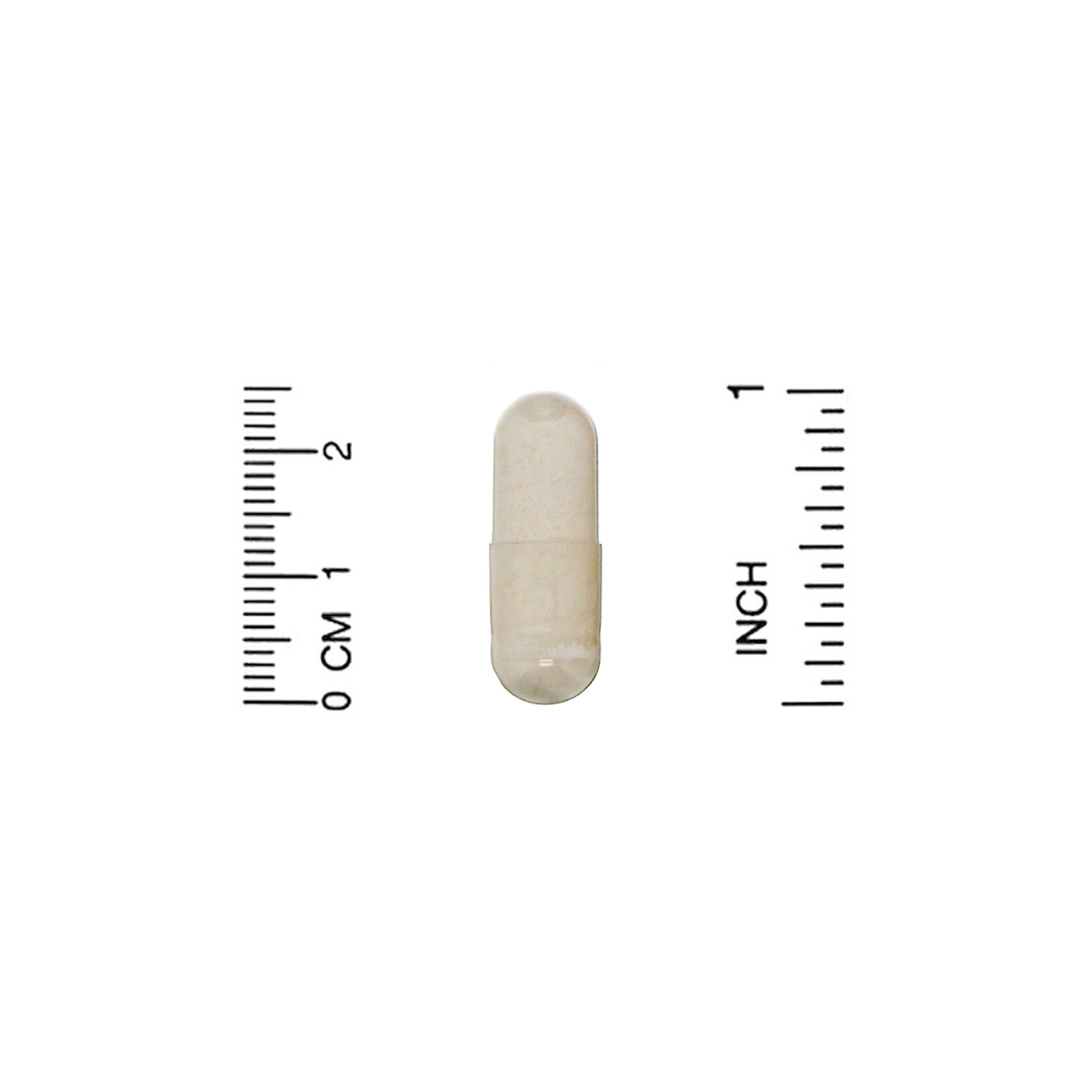Now Foods, Cápsulas de Casca de Psílio, 700 mg, 360 Cápsulas Veg. - Imagem 3