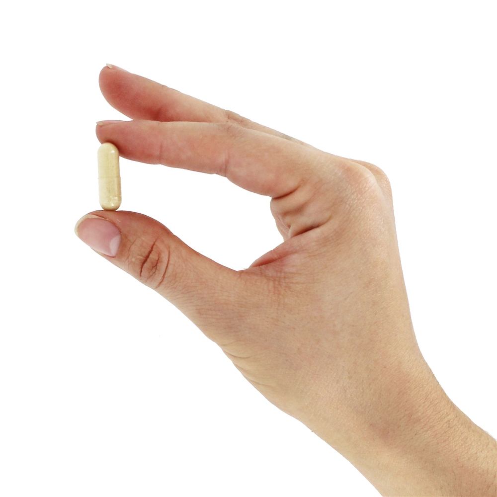 Shatavari Hormonal Balance - Cápsulas vegetarianas 90 Organic India - Imagem 5