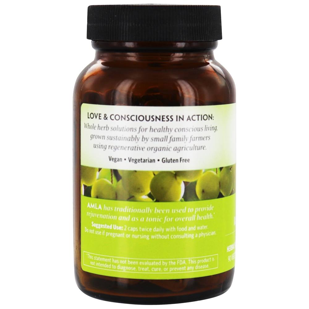 Superfruta Rejuvenescedora Amla Orgânica - Cápsulas vegetarianas 90 Organic India - Imagem 3
