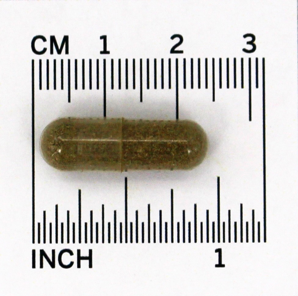 Fórmula Herbal Calcium - Cápsulas vegetarianas 100 Dr. Christopher's Original Formulas - Imagem 4