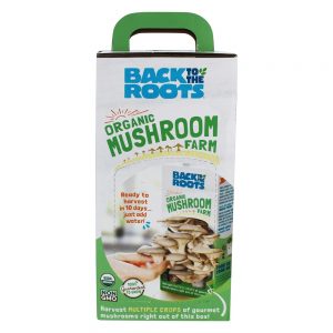 Fazenda de cogumelos orgânicos Back to the Roots