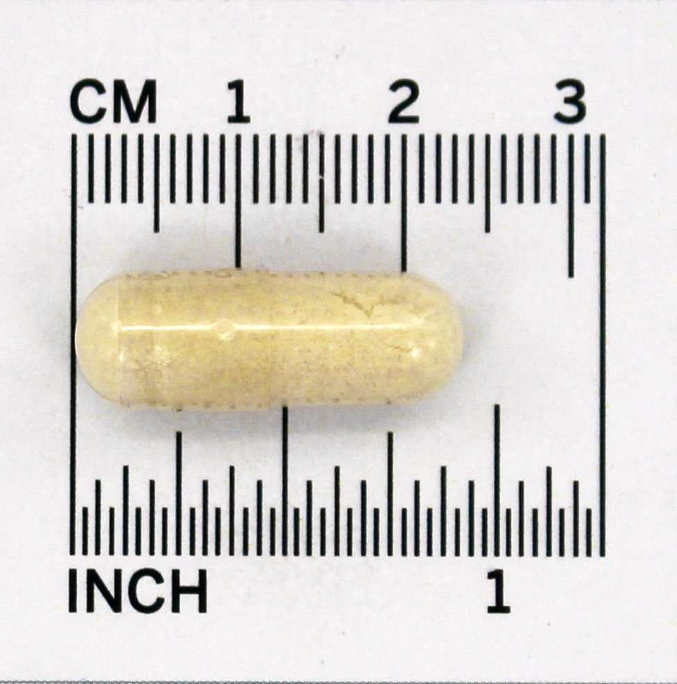 Glucosamina Condroitina MSM + Ácido Hialurônico - Cápsulas 150 Doctor's Best - Imagem 4