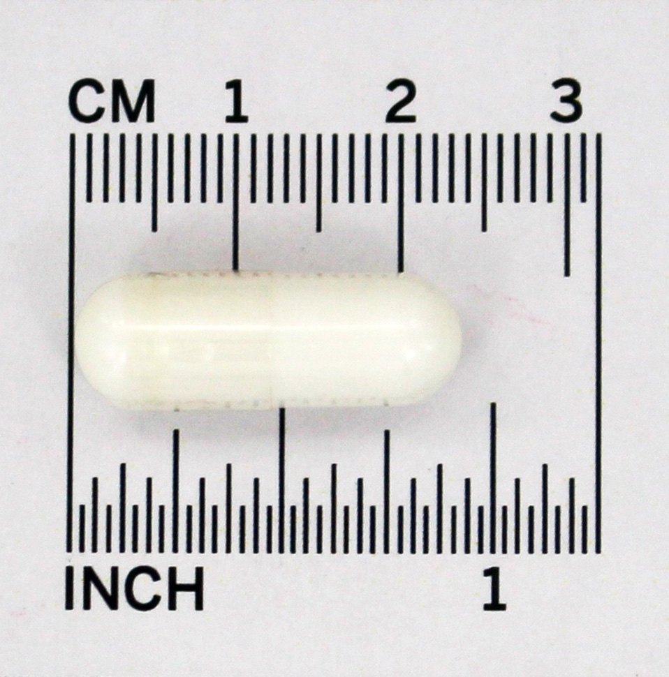 Taurina Potência Dupla 1000 mg. - Cápsulas 250 NOW Foods - Imagem 4