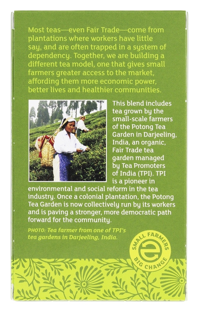 Orgânico Pequeno Agricultores Grande Mudar Verde Chá - 20 Saquinhos de Chá Equal Exchange - Imagem 3