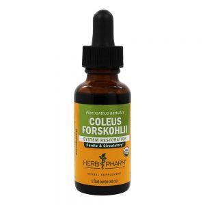 Extracto Líquido Coleus Forskohlii para Restauração Cardio e Sistema Circulatório - 1 fl. oz. Herb Pharm