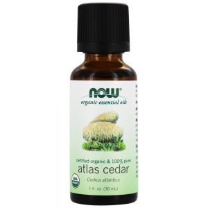 100 % Pure e cedro do Atlas com óleo essencial orgânico - 1 fl. oz. NOW Foods
