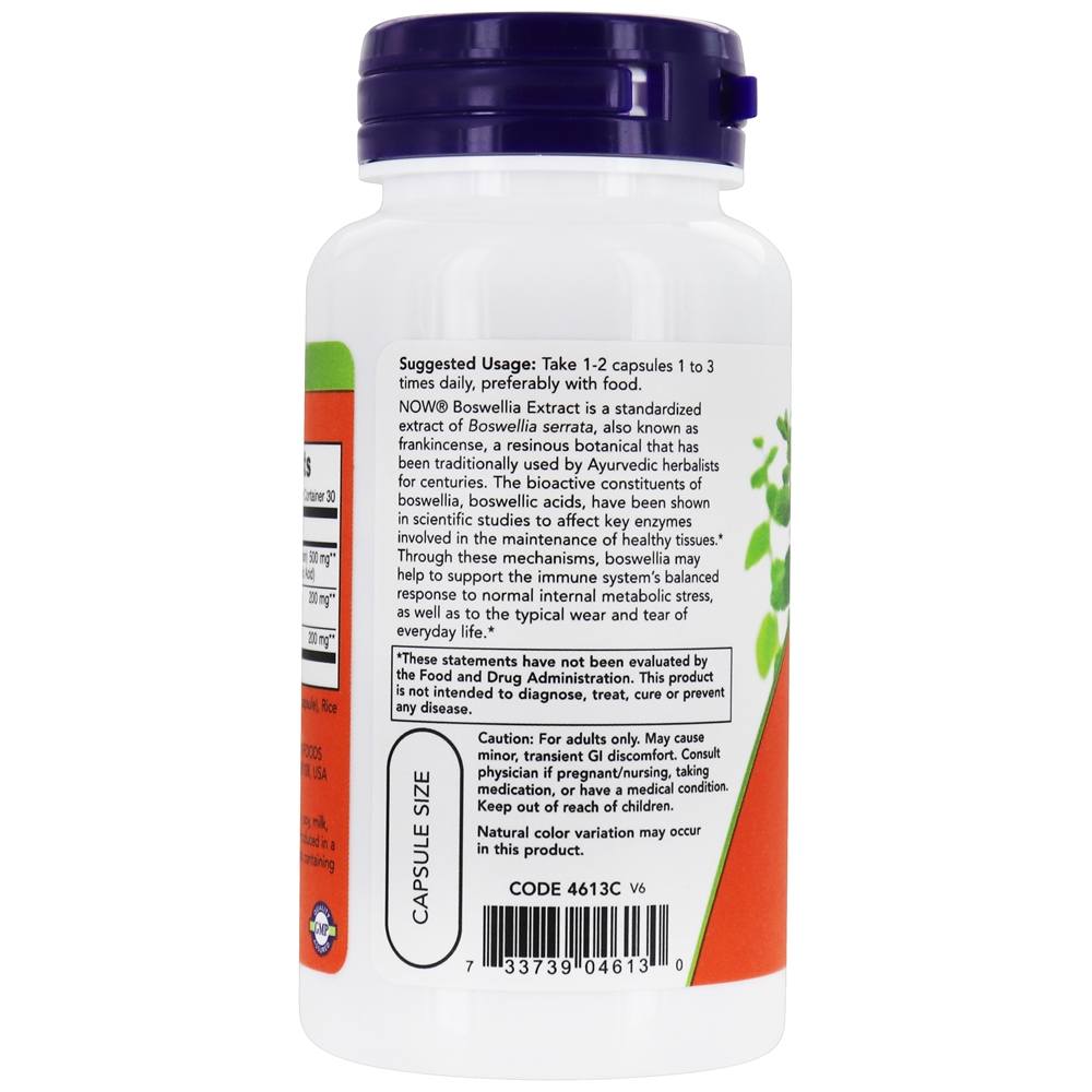 Extrato de Boswellia 250 mg. - 60 Cápsula (s) vegetal (s) NOW Foods - Imagem 3