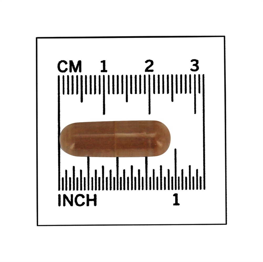 Garra de Gato (Uña de Gato) 500 mg . - 100 Cápsula (s) vegetal (s) NOW Foods - Imagem 4