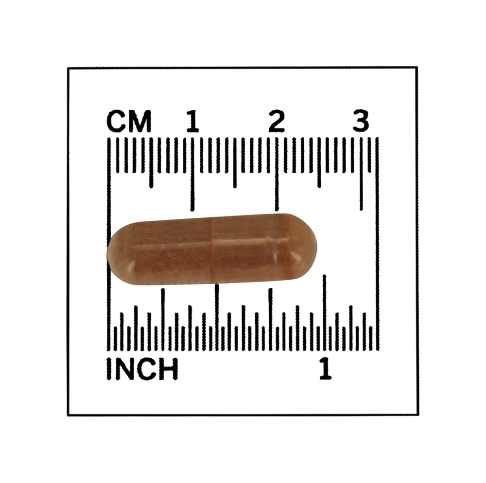 Garra de Gato (Uña de Gato) 500 mg . - 250 Cápsula (s) vegetal (s) NOW Foods - Imagem 4