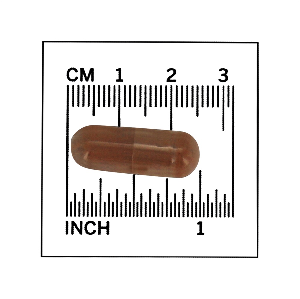 Casca de Canela 600 mg. - 120 Cápsula (s) vegetal (s) NOW Foods - Imagem 4