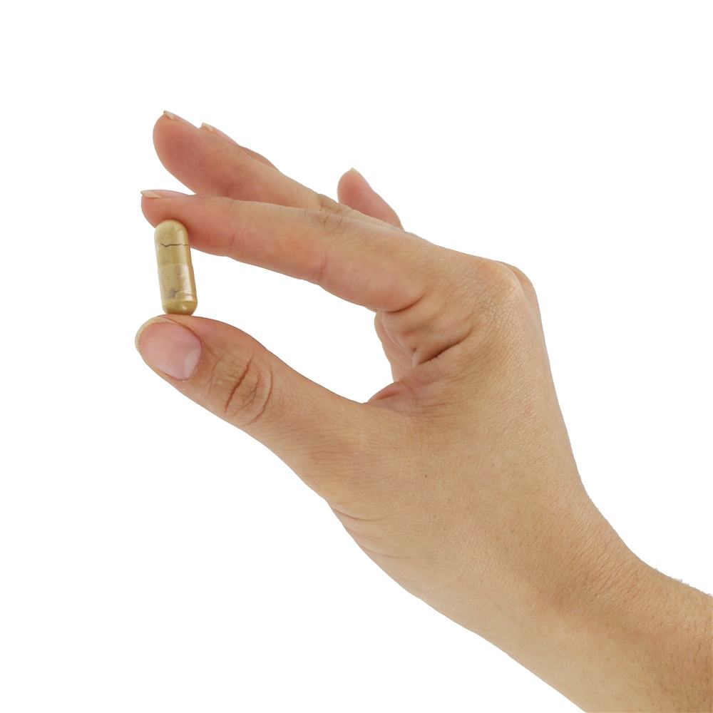 Raiz de Fo-Ti 610 mg. - Cápsulas vegetarianas 100 Nature's Way - Imagem 5