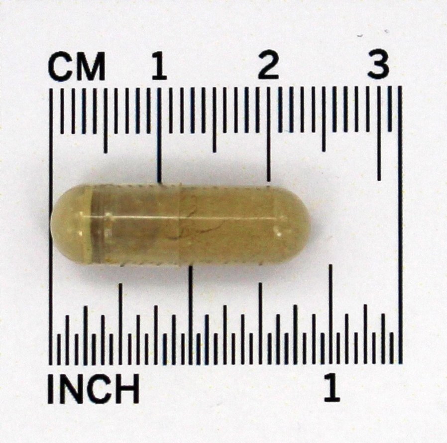 Extrato de Folha de Oliva, Vegetariano 500 mg. - Cápsulas vegetarianas 120 NOW Foods - Imagem 4