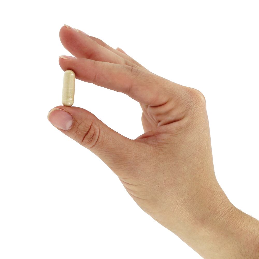 Beta 1,3 / 1,6 D Glucan 100 mg. - Cápsulas vegetarianas 90 NOW Foods - Imagem 5