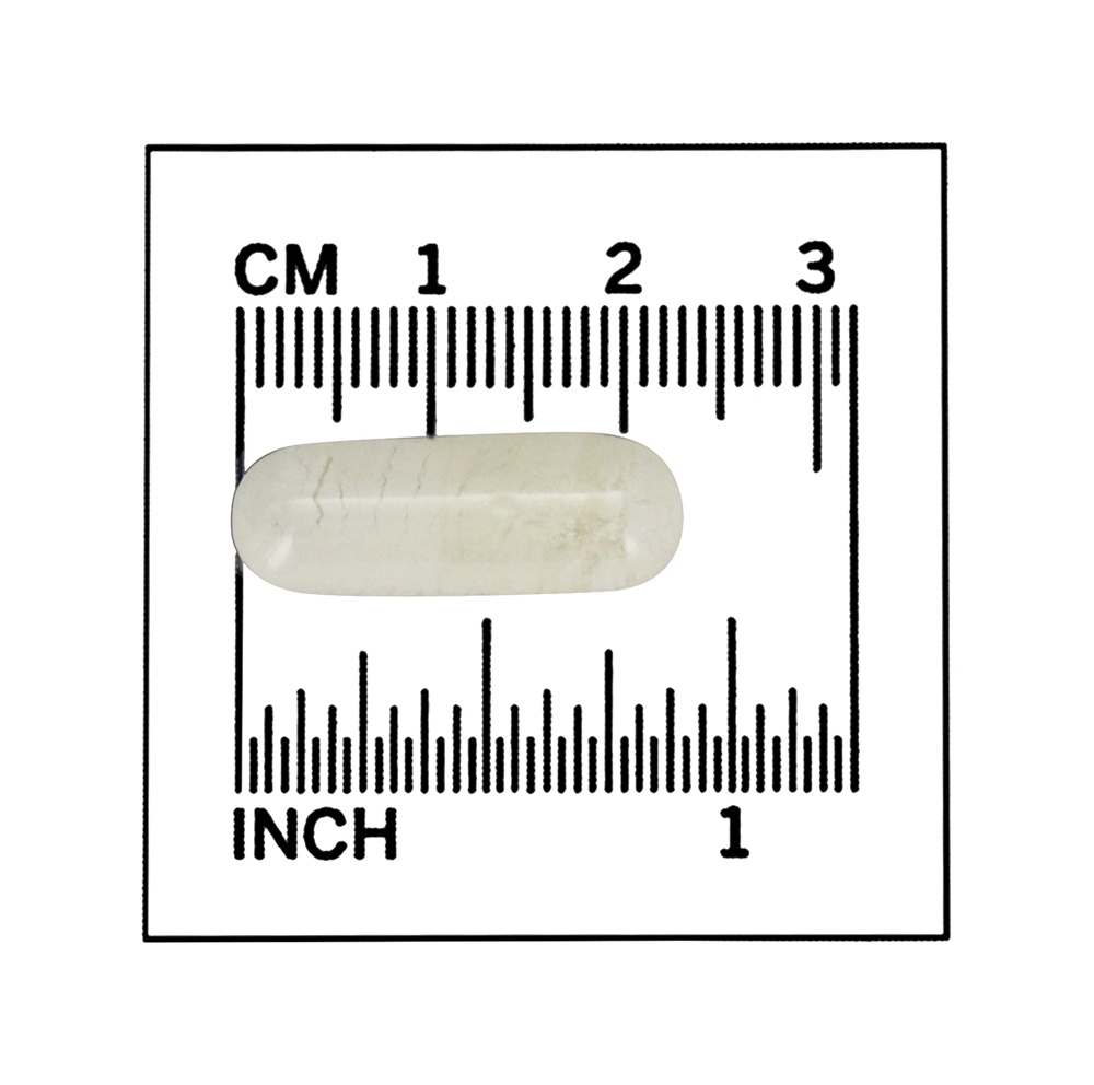 Cartilagem de Tubarão 750 mg. - Cápsulas 300 NOW Foods - Imagem 4