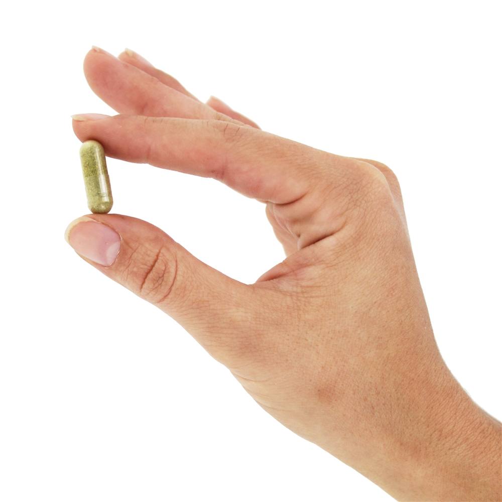 Alfafa Jovem Colheita 1215 mg. - Cápsulas Vegan 100 Nature's Way - Imagem 5