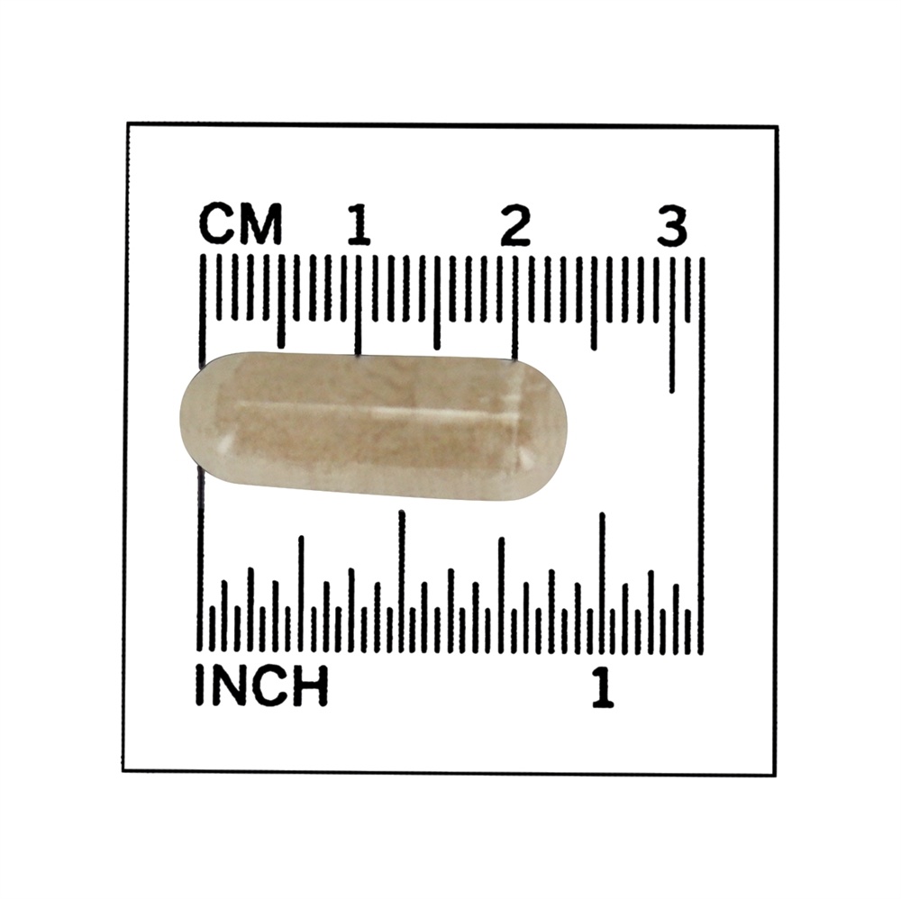 Pectina da Apple 700 mg. - 120 Cápsula (s) vegetal (s) NOW Foods - Imagem 4