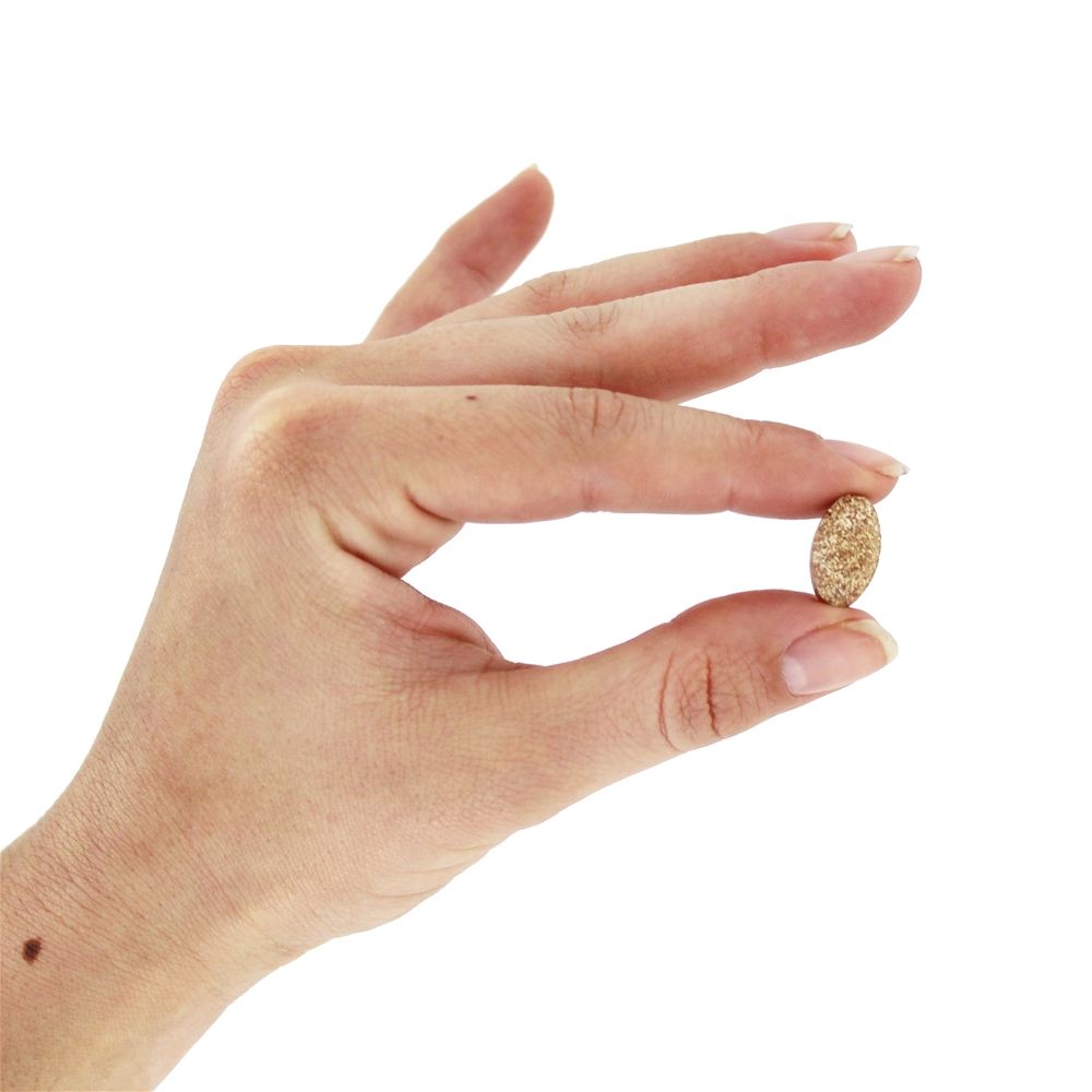 Super Lion's Mane - 120 Tablets anteriormente Produtos Maitake Mushroom Wisdom - Imagem 5