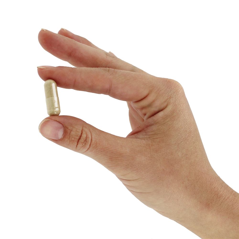 Complexo Diosmin - Cápsulas 60 LifeTime Vitamins - Imagem 5