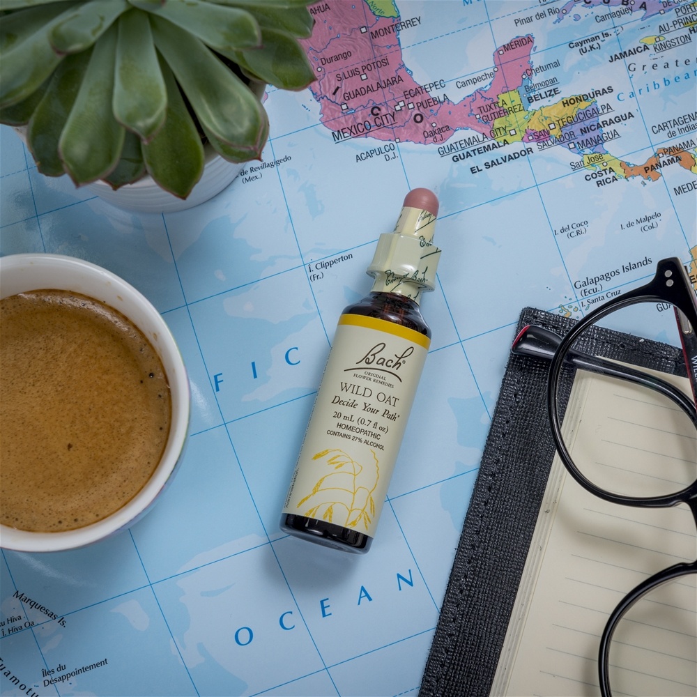 Essência de remédio de flor Original de Bach Essência de flor de aveia selvagem - 20 ml. Bach - Imagem 5