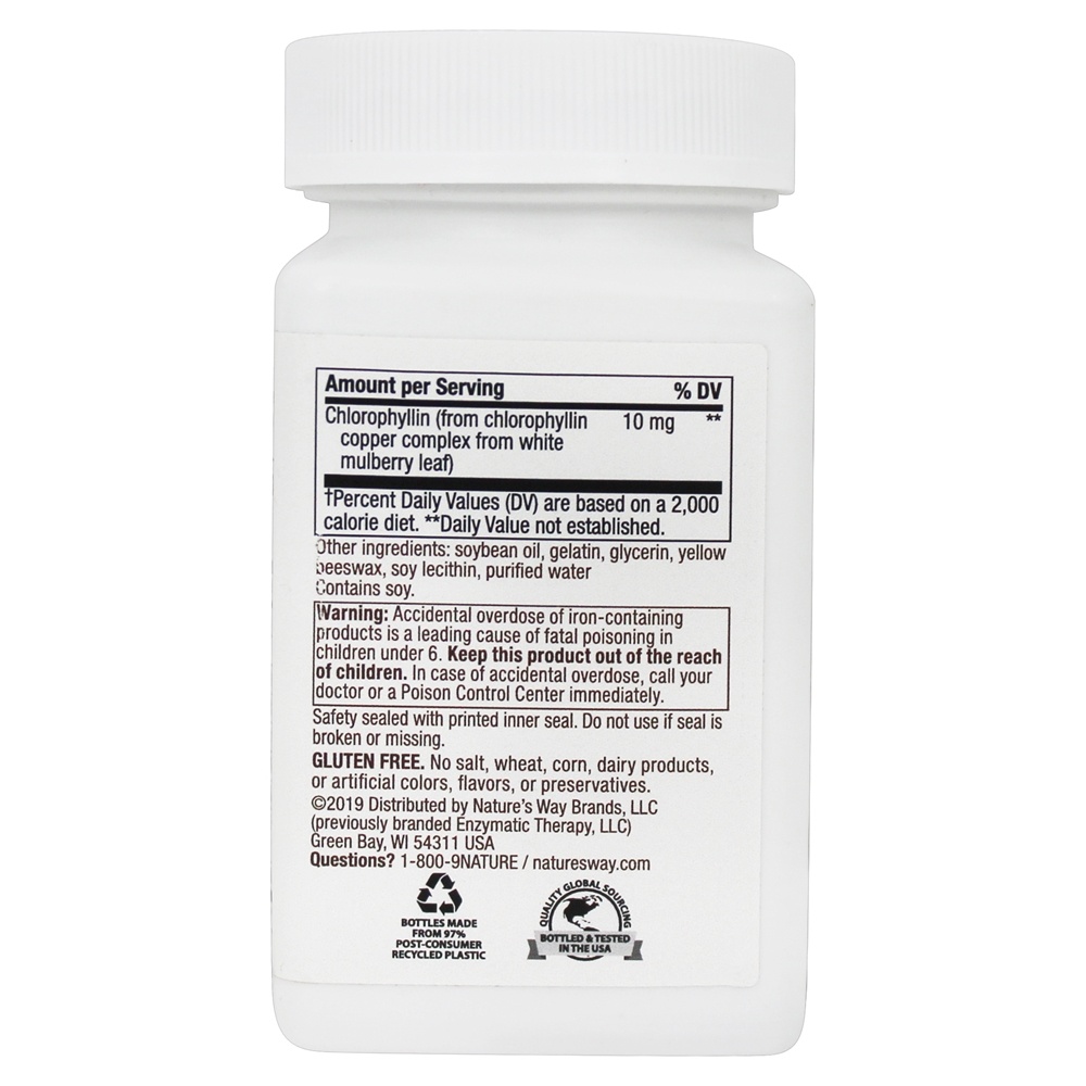 Ultimate Iron - 90 Softgels Nature's Way - Imagem 3
