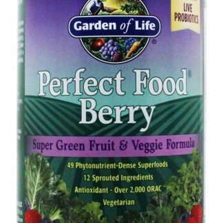 Perfeito Comida Super Verde Fruto & Vegetariano Fórmula Baga - 240 Gramas Garden of Life
