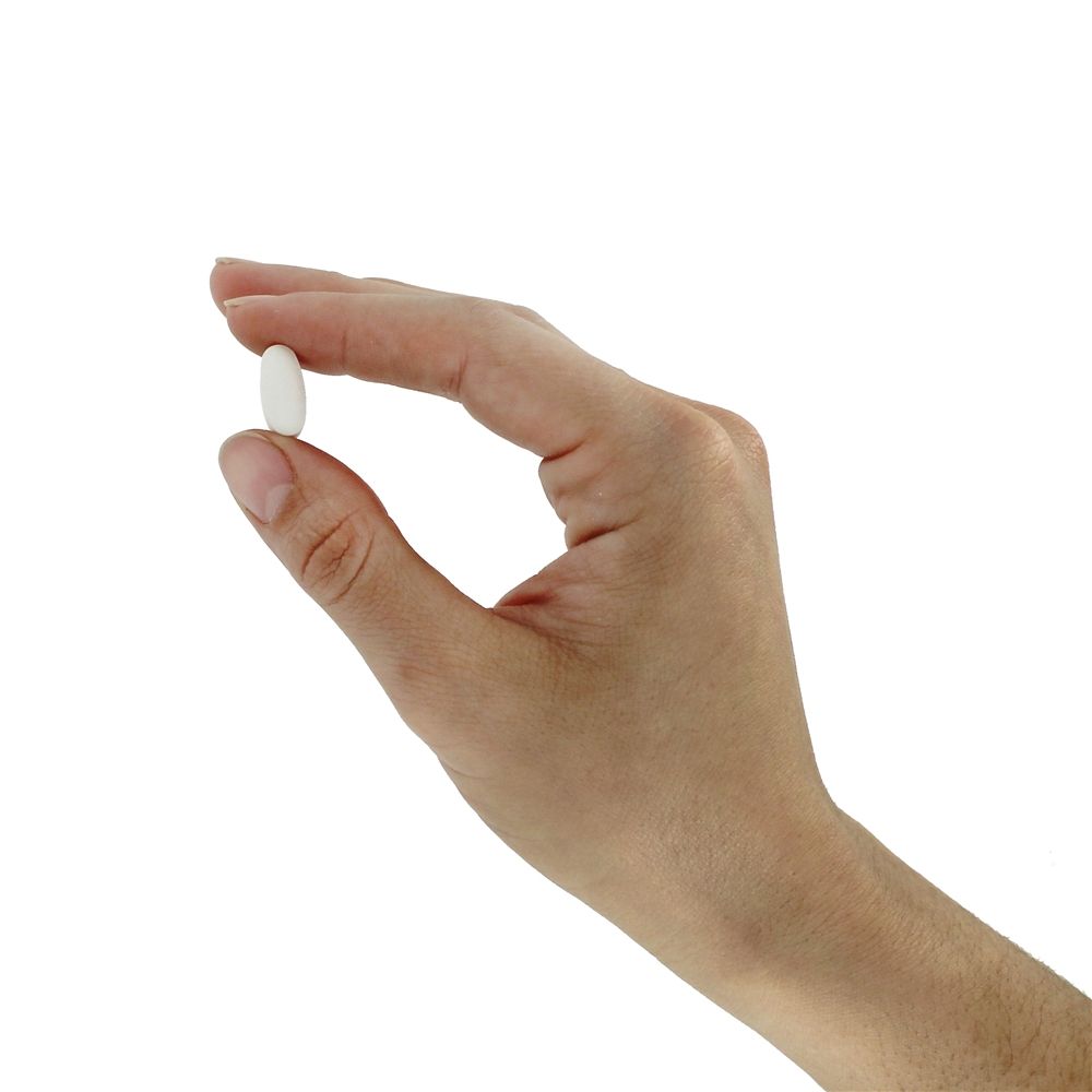 Goma de Mastique 1000 mg. - 60 Tablet (s) Jarrow Formulas - Imagem 5