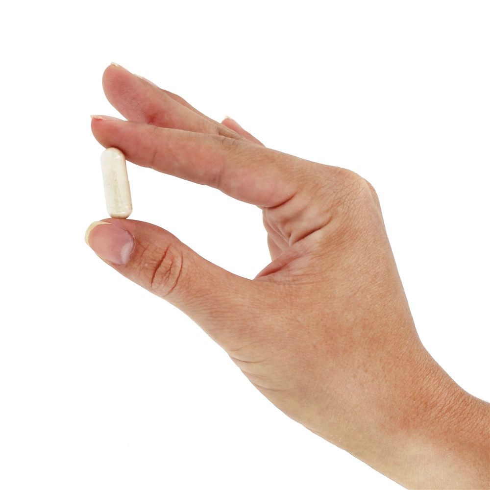 Extrato de Resina Boswellia - Cápsulas vegetarianas 60 Solgar - Imagem 6