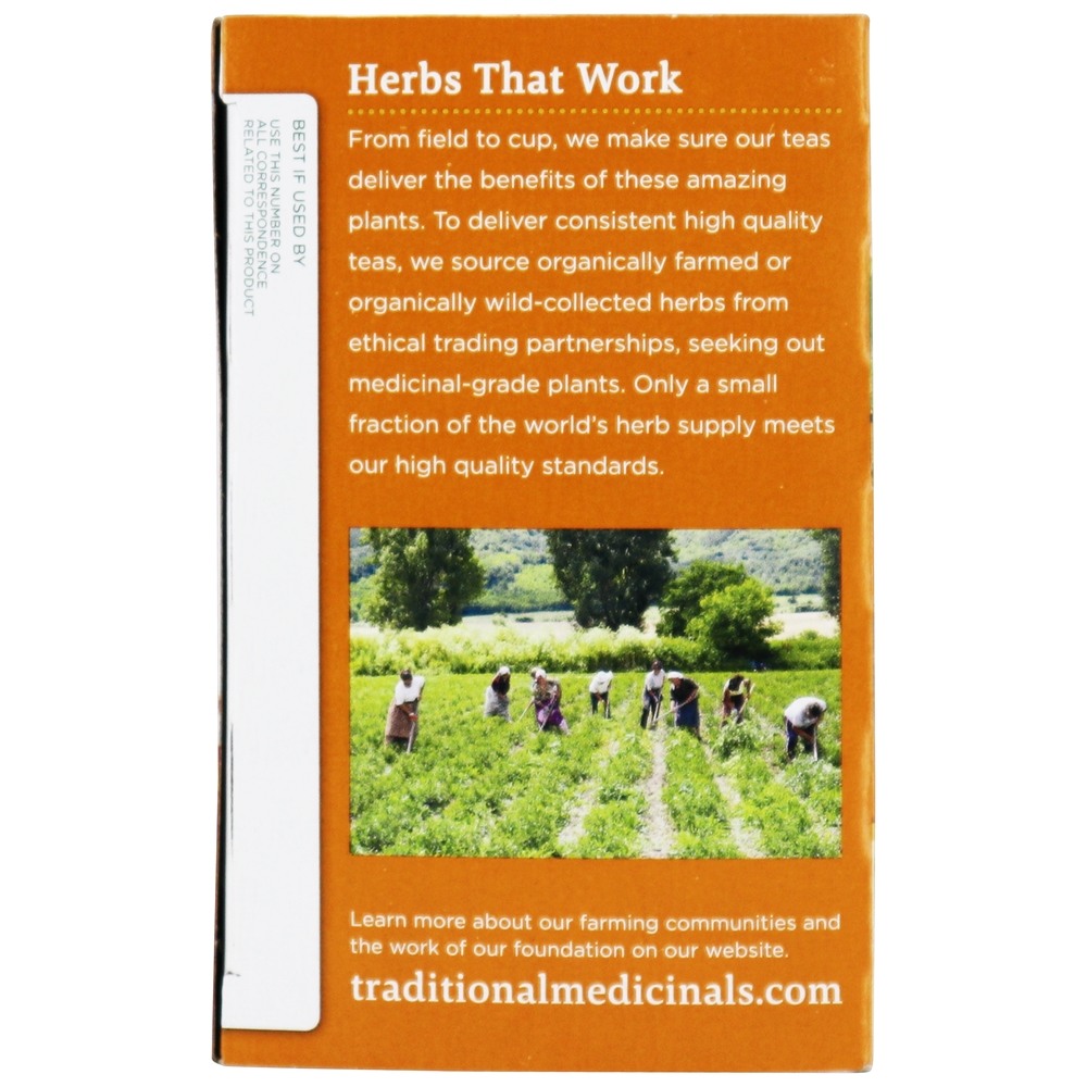 Chá de ervas hortelã de conforto orgânico barriga - 16 Saquinhos de Chá Traditional Medicinals - Imagem 4