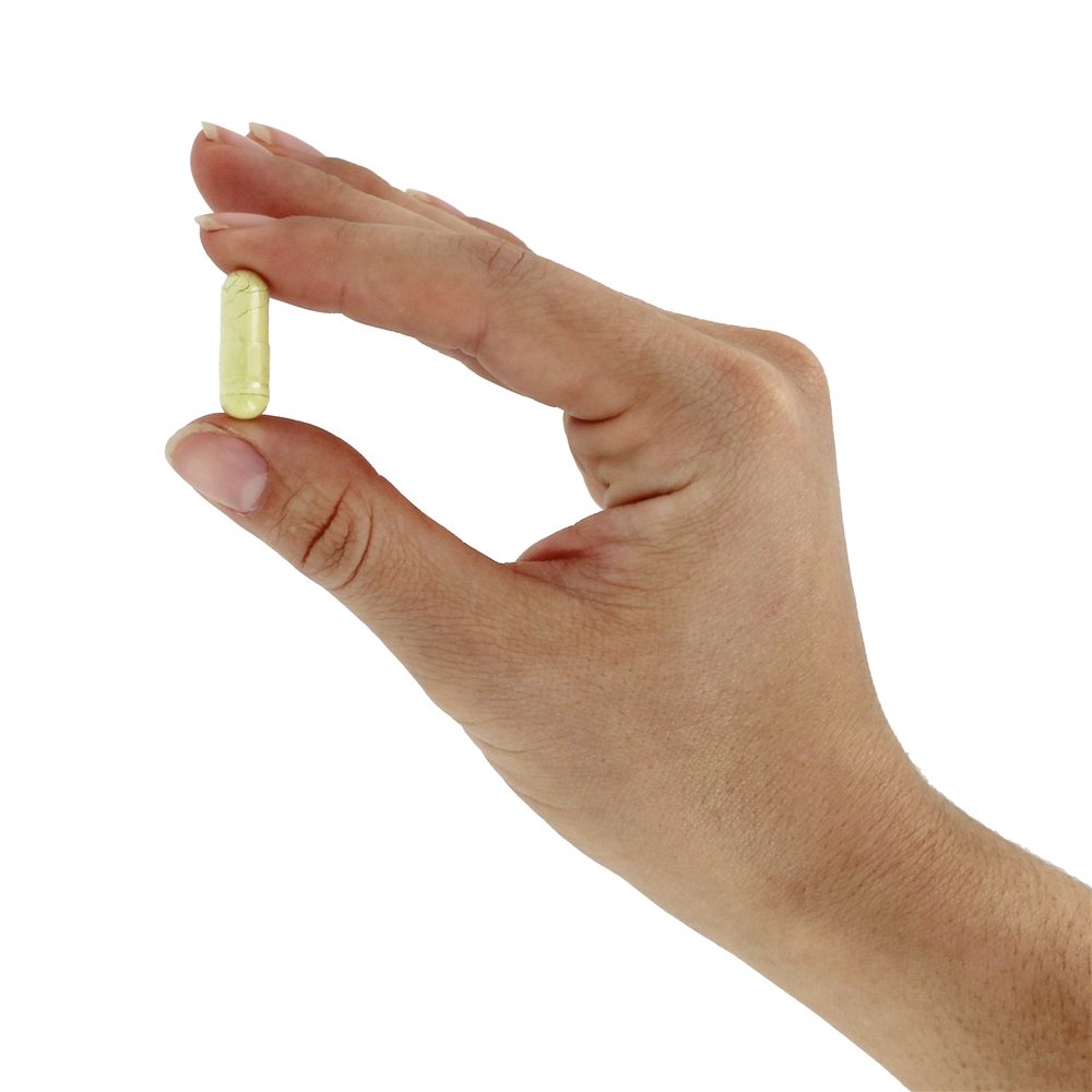 Proteção Antioxidante de Rutina 450 mg. - 100 Cápsula (s) vegetal (s) NOW Foods - Imagem 5
