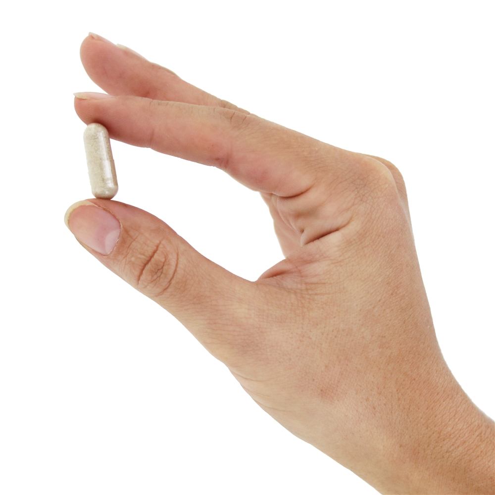 A defesa do glúten visou enzimas digestivas com DPP IV - Cápsulas Vegan 120 Nature's Way - Imagem 5