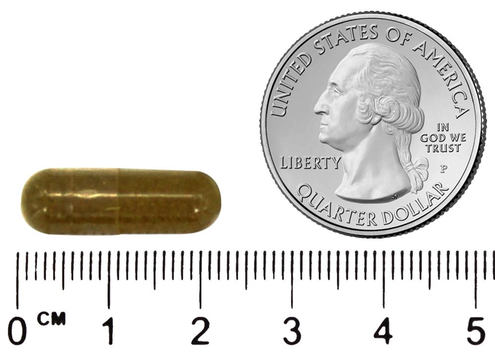 Fórmula do intestino inferior - Cápsulas vegetarianas 100 Dr. Christopher's Original Formulas - Imagem 4
