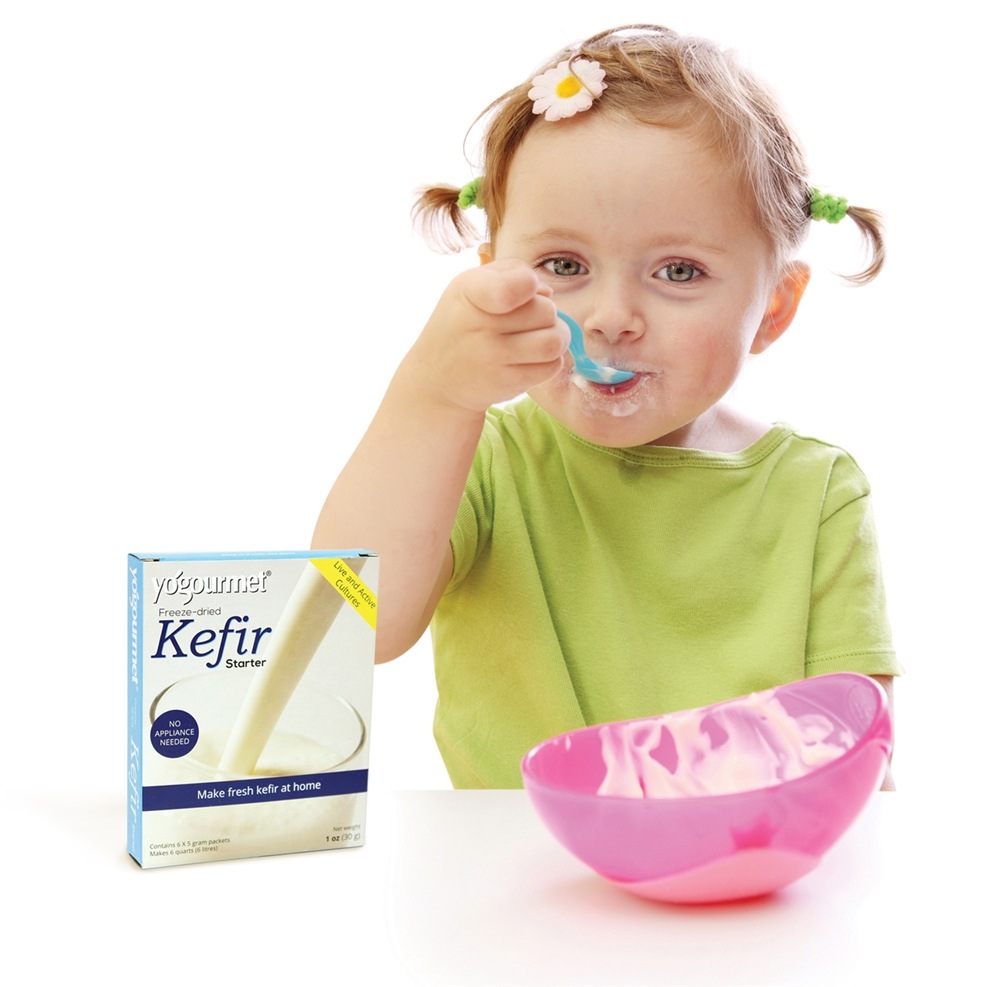 Kefir Desidratado Congelado - 6 Pacotes (s) Yogourmet - Imagem 4