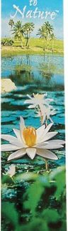 Auroshikha True to Nature™ Incense Frankincense -- 15 Sticks