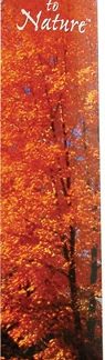 Auroshikha True to Nature™ Incense Myrrh -- 16 Sticks