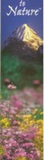 Auroshikha True To Nature™ Incense Sandalwood -- 15 Sticks