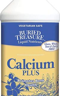 Buried Treasure Calcium Plus French Vanilla -- 16 fl oz
