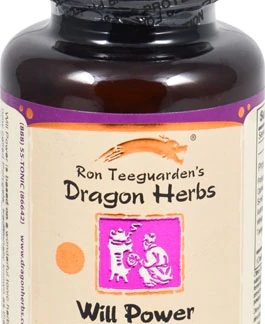 Dragon Herbs Will Power -- 500 mg - 100 Vegetarian Capsules