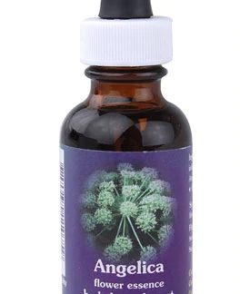 Flower Essence Angelica Dropper -- 1 fl oz