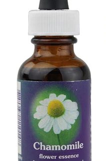 Flower Essence Chamomile Dropper -- 1 fl oz